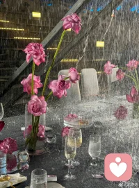 人和人如果不在一個層次上， 那么無論你做什么， 對方都覺得不對， 所謂層次，不是社會地位， 而是人品和認知事物的清晰程度。配圖