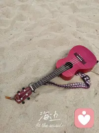 去海邊流浪吧
有風還有自由配圖