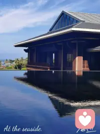 去海邊流浪吧
有風還有自由配圖
