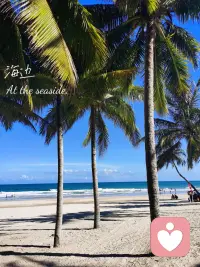 去海邊流浪吧
有風還有自由配圖