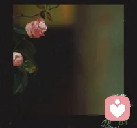 人人都渴望詩和遠方，
但生活大部分的時光，

都是眼前簡單的日常，
渡生活的難，謝時光的暖。

在這煙火人間，
只有活得越簡單安靜，

才能離自己的心最近。

簡單方能知足，

心靜方得萬事安。

一個人最好的養生，
不是隨波逐流，
也不是盲目跟風，
而是走好自己的路，
觀看自己的風景，
去尋找適合自己狀態的生活。配圖