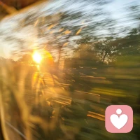 《月亮與六便士》:這12句話，治愈了我的2024......

《月亮與六便士》——毛姆的經典之作， 講述了查理斯·思特里克蘭德在中年時期，放棄了穩定的生活，去追求自己對藝術的熱愛。

他的選擇雖然給他人帶來了痛苦，但也展現了對自我實現的執著追求。不僅是一部小說，更是一面鏡子，映照出每個人內心深處的渴望與掙扎。

這不僅是一部小說，更是一面鏡子，映照出每個人內心深處的渴望與掙扎。

關于人性一
??卑鄙與偉大、惡毒與善良、仇恨與熱愛，是可以互不排斥地并存在同一顆心里的。
??你要克服的是你的虛榮心，是你的炫耀欲，你要對付的是你內心時刻想要沖出來，想要出風頭的小聰明。
??我不知道真誠中有多少是在擺姿態，高貴中有多少出自卑鄙，墮落中有多少是圣潔的。

關于人生—
??我用盡了全力，過著平凡的一生。
??為了使靈魂寧靜，一個人每天要做兩件他不喜歡的事。
??成長本來就是一條不可逆的道路，更恐怖的是，它往往還是一條孤獨的單行車道。
??文明社會中的人，把短促的生命都浪費在無聊的應酬上實在不值。
??大多數人所成為的，并非是他們想成為的人，而是不得不成為的人。
??一個人最難做到的事，是意識到自己并不是生活的中心，而只是在邊緣。
??在生活中我們一定不要出風頭、露頭角，惹起命運對我們注目。
??人生只有一種方式，就是以自己喜歡的方式過一生。
??我們每個人生在世界上都是孤獨的，盡管身體互相依傍卻并不在一起，既不了解別人也不能為別人所了解。配圖