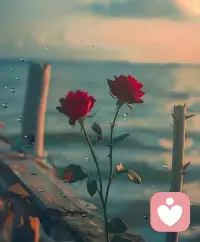 不要經(jīng)常和人說自己身體不好、記性差，命不好……有種玄學(xué)叫作“自證預(yù)言”配圖