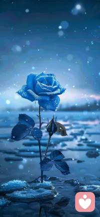 先跑到終點再說配圖