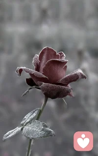 「利用時間的樣子，就是生活的樣子」

“你如何度過一天，就如何度過一生。”這句簡單卻深刻的話，揭示了時間與生活之間的緊密聯(lián)系。每個人都在用自己的方式詮釋著時間，而利用時間的樣子，最終匯聚成了生活的模樣。

有的人選擇忙碌，將時間填滿工作與學習，追求事業(yè)上的成就與自我超越；有的人則偏愛閑適，享受與家人朋友的溫馨時光，于平凡中尋覓生活的真諦。無論哪種方式，只要心中有愛，眼中有光，便能在時間的流轉(zhuǎn)中，找到屬于自己的幸福與滿足。

生活的答案，確實藏在時間里。它不在于你擁有多少時間，而在于你如何運用這些時間，去創(chuàng)造、去愛、去體驗。

在時間的長河里，我們都是渺小的存在，但正是這些微不足道的瞬間，構(gòu)成了我們豐富多彩的人生。

讓我們珍惜每一刻，無論是守著自己的時間，還是守著他人的時間，都用心去體驗，用愛去傳遞。

因為，正是這些時間的碎片，拼湊出了我們獨一無二的生活圖景，也讓我們在歲月的長河中，找到了屬于自己的答案。配圖