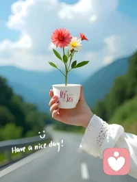 我祝你擁有一切的美好配圖