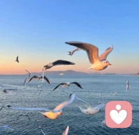 人生就像煎荷包蛋一樣，煎完一面還有另一面，有些事該翻篇時就得翻篇了，不然就糊了。配圖