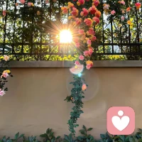 要努力在一團糟的生活里，抓住那稀缺的溫柔，借著這溫柔之力而走出深陷的泥沼。配圖