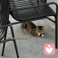 善良和喜歡都是免費的，但不是廉價的。配圖