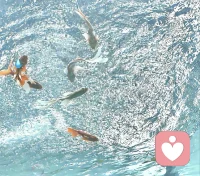 抓不住的東西太多了，告訴自己沒關(guān)系。配圖