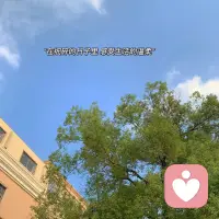 樂觀者不是相信永遠(yuǎn)陽光明媚，而是在聽到預(yù)報(bào)后立即去找雨傘配圖