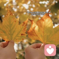 人活著只要
有一個(gè)好心態(tài)，一副好身體，
其他的隨緣便好。
生活的模樣取決于你自己，
熱愛(ài)生活的人，
也一定會(huì)被生活所熱愛(ài)。配圖