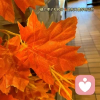 你不必乞求任何人的認可，不必踮起腳尖去結識誰，也不必彎下腰去維系任何關系。記住，真正吸引人的，是你那份真誠與自信的光芒，是你敢于展現真我、不卑不亢的姿態。而不是你故作謙卑，討好人的樣子。配圖