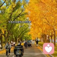 你不必乞求任何人的認可，不必踮起腳尖去結識誰，也不必彎下腰去維系任何關系。記住，真正吸引人的，是你那份真誠與自信的光芒，是你敢于展現真我、不卑不亢的姿態。而不是你故作謙卑，討好人的樣子。配圖