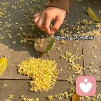 你不必乞求任何人的認可，不必踮起腳尖去結識誰，也不必彎下腰去維系任何關系。記住，真正吸引人的，是你那份真誠與自信的光芒，是你敢于展現真我、不卑不亢的姿態。而不是你故作謙卑，討好人的樣子。配圖