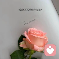 不必苛求自己，靈魂本就是一朵難養(yǎng)的花。配圖