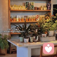 于是我靠著這些瞬間活著

久別重逢的老友

偶然談起的從前

被解開的誤會(huì)

以及猜到彼此的喜悅


于是我靠著這些瞬間活著??

周三半價(jià)的壽司???

常去的老店贈(zèng)予的小食

某天機(jī)緣之下吃到的三文魚??


于是我靠著這些瞬間活著

一天異常燦爛的陽(yáng)光????????????????

傍晚將落未落的晚霞

湛藍(lán)的天空，潔白的云朵?????

都將被我記錄??????


于是我靠著這些瞬間活著

細(xì)碎的聊天記錄

不算太遠(yuǎn)的距離

對(duì)方真實(shí)的存在


于是我靠著這些瞬間活著

耳機(jī)里播放的歌曲

演唱會(huì)熒白色的燈海

通過一個(gè)人，認(rèn)識(shí)一群很好的人


于是，我靠著這些瞬間活著配圖