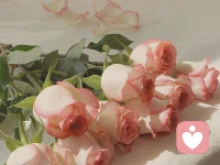 倘若真心實在換不了真心，

那就大膽地離開吧。

一輩子的光陰太過漫長，

實在不想掙扎在壞情緒里。

命運中時有坎坷，也有伏筆，

且待三十年后，

回頭再看，

也許你又要感謝命運的憐惜。配圖