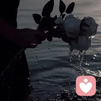 誰(shuí)能帶我逃跑呢，大家都有自己的泥沼。配圖