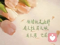 人生不能總做正確的決定，偶爾也要做讓自己快樂的選擇。配圖