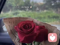 旅途愉快一路順風(fēng)配圖