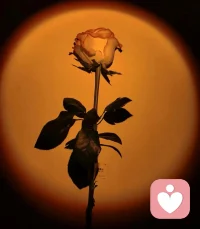 接受自己做不好某些事，也是一種進步。配圖