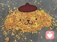 即使時間在你眼角雕刻魚尾紋，
即使暴雨襲擊了世界，
即使花謝了，葉子落了，
沒什么好擔心的，
順著歲月向前走，
你會發(fā)現雷雨浸潤，野風吹拂，
也有詩意在閃現，
生活會有饋贈，
世間萬物也在治愈你，你也要放過自己。配圖