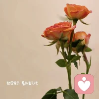 人生總有太多來不及，
時(shí)間走的太快，
一眨眼就是一天，
一回頭就是一年，
一轉(zhuǎn)身就是一輩子，
那些曾經(jīng)的日子，
委屈也好， 開心也罷，
都已成為過去，
往前走，別回頭。配圖