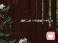 我選的路 我從不后悔
爬不起來 是我沒本事配圖