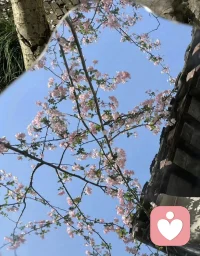 如果這世界上真有奇跡，那只是努力的另一個名字。生命中最難的階段不是沒有人懂你，而是你不懂你自己。配圖