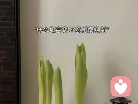 人要有翻篇的能力
不依不饒就是畫地為牢
困不住別人卻困得住自己
這個世界上沒有真正快樂的人，只有想得開的人配圖