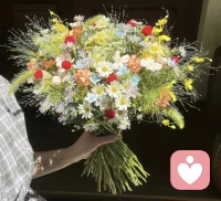 放下，并非聽之任之，而是盡自己所能后，不再執著于自己預想的結果。很多時候，執著并不會改變結果，反而會讓自己帶著一身無謂的負擔前行。人生，就是一場不斷拿起與放下的過程。那些曾經以為放不下的，終究會在歲月的長河中慢慢淡去。配圖