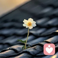 心理咨詢是咨詢師幫助來訪者自我探索，不是去探索來訪者，解決問題的方案永遠(yuǎn)在自己手里。配圖