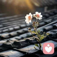 「別讓他人的幸福成為我們的不幸」

嫉妒，是一朵開在心靈深處的惡之花，它不因春風而綻放，也不因秋霜而凋零，它只在人心的不平與渴望中肆意蔓延。嫉妒就像是心里長出的雜草，看到別人園子里的花開得比自己家的好，不是想辦法讓自己的花開得更好，而是琢磨著怎么讓別人的花兒凋謝。配圖