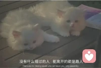 我從不許愿，因為事與愿違。
我從不要求，因為求而不得。配圖