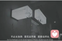 我從不許愿，因為事與愿違。
我從不要求，因為求而不得。配圖