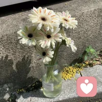 我們窮極一生追求的幸福
不在過去，也不在未來
而是在當下眼中景，碗中餐，身邊人

當你看過世界見過眾生
才發現你要見的世面
是你自己內心的勇敢和自信

當你看過四季見過風云
才發現你要見的美景
是看似平淡的生活和心境

其實幸福很簡單
有家回、有人等、有飯吃
所謂的歲月靜好
不過是家中那碗熱湯和始終為你亮著的那盞燈配圖