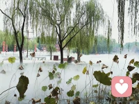 「慢慢走，才能看到好風景」

我們似乎總是被一只無形的手推著向前奔跑，不斷追求更高的目標、更快的進步和更大的成功。然而，在這樣高強度的拼搏中，并沒有得到預想的成功，反而讓自己非常焦慮與疲憊。人生路很長，不必總是急于求成，不必總是擔心自己是否落在了別人的后面。


當生活變得有張有弛、疾徐有致時，你會發現，原來日子還可以這樣從容不迫、悠然自得；當你慢下來，擁有一顆平靜的心，去做自己熱愛的事情時，你會發現，原來慢下來，生活并不會變得糟糕，反而一切都井然有序了，前途也更加明朗了。配圖