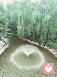 「慢慢走，才能看到好風景」

我們似乎總是被一只無形的手推著向前奔跑，不斷追求更高的目標、更快的進步和更大的成功。然而，在這樣高強度的拼搏中，并沒有得到預想的成功，反而讓自己非常焦慮與疲憊。人生路很長，不必總是急于求成，不必總是擔心自己是否落在了別人的后面。


當生活變得有張有弛、疾徐有致時，你會發現，原來日子還可以這樣從容不迫、悠然自得；當你慢下來，擁有一顆平靜的心，去做自己熱愛的事情時，你會發現，原來慢下來，生活并不會變得糟糕，反而一切都井然有序了，前途也更加明朗了。配圖