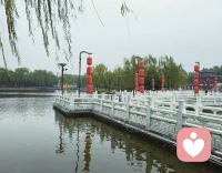 「慢慢走，才能看到好風景」

我們似乎總是被一只無形的手推著向前奔跑，不斷追求更高的目標、更快的進步和更大的成功。然而，在這樣高強度的拼搏中，并沒有得到預想的成功，反而讓自己非常焦慮與疲憊。人生路很長，不必總是急于求成，不必總是擔心自己是否落在了別人的后面。


當生活變得有張有弛、疾徐有致時，你會發現，原來日子還可以這樣從容不迫、悠然自得；當你慢下來，擁有一顆平靜的心，去做自己熱愛的事情時，你會發現，原來慢下來，生活并不會變得糟糕，反而一切都井然有序了，前途也更加明朗了。配圖