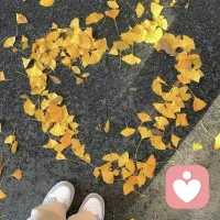 老鼠偷了人類的大米，

人類說老鼠狡猾；

人類偷了蜜蜂的蜂蜜，

卻說蜜蜂勤勞；

蛇不知道自己有毒，

人不知道自己有錯。


你走路時討厭車，

你開車時討厭行人；

認(rèn)知不同，你所處的角度就不同，

角度不同，你看到的風(fēng)景和結(jié)論自然就不同。

畢竟在烏鴉的世界里，

天鵝都是有罪的。

對與錯只是個偽命題，

凡事學(xué)會換位思考，

就會減少很多不必要的爭吵和煩惱。配圖