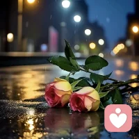 你是不是每一天都過(guò)得小心翼翼？生怕自己的一絲差錯(cuò)，成為他人茶余飯后的笑談。然而，在這個(gè)世界上，沒(méi)有人時(shí)刻盯著你，你在別人眼中，也沒(méi)那么重要。你摔一跤，你自認(rèn)為很尷尬，旁人都在笑話你，其實(shí)，人家壓根就沒(méi)看你，人家笑一笑，就把你忘了。

多年后回望，你會(huì)發(fā)現(xiàn)，那些曾以為會(huì)刻骨銘心的瞬間，那些曾讓你無(wú)地自容的窘態(tài)，大多已經(jīng)淡忘了，好像從來(lái)沒(méi)有發(fā)生過(guò)一樣。我們都生來(lái)平凡，不要把自己當(dāng)成萬(wàn)眾矚目的焦點(diǎn)，不要害怕別人嘲笑你，你真的沒(méi)有那么多觀眾。配圖