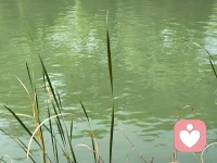 怎么才能不內(nèi)耗：愛(ài)你所擁有的一切，愛(ài)你的一切??配圖