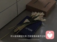 我可以是必選題，也可以是判斷題，但不能是選擇題。配圖