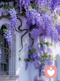 用最好的自己去對待最愛的人
而不是用最壞的自己去考驗對方?配圖