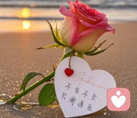 山林不向四季起誓，榮枯隨緣。配圖