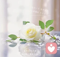 「人，要有絕交的勇氣」

圈子不同，不必強(qiáng)融，強(qiáng)融進(jìn)去的圈子，只會給自己帶來消耗，并沒有什么益處。與人相處，要有絕交的勇氣。有些人，哪怕相交多年，一旦觸碰了底線，肆無忌憚地傷害你，該翻臉就翻臉，該絕交就絕交。留著，也是禍害自己。

情分二字，是相互的。他傷害你的時候，就忘記了情分。不跟你講情分的人，卻要求你給他講情分，讓你接受傷害，這本身就是一種自私。他不講情分，你講情分，就意味著你允許被傷害，繼續(xù)下去，只會讓更多傷害會接踵而至。

不要怕孤單，不要怕絕交。被傷害后的絕交，是自我保護(hù)，是要求公平。不要成為那種可以被肆意傷害的人，反正被傷害了也沒事，于是成為被忽略和傷害的對象。人可以溫柔，但不能可欺。該翻臉就翻臉，該絕交就絕交，怕什么？你又不比別人差。配圖