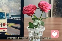 只要你不去關(guān)注任何人的動態(tài)，不去揣測任何人的想法，不去設想那些沒有發(fā)生的事。你就會發(fā)現(xiàn)自己過得特別舒服自在。配圖