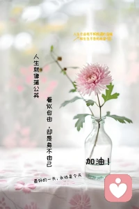 不要替任何人去做任何決定，成了，你不一定有功，敗了，你一定有錯。配圖