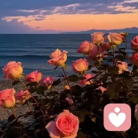 人不傷己，歲月無恙


人的大多數痛苦都是自找的。領導批評了你幾句，愛人一個嫌棄的眼神，朋友的一句玩笑話，你的心態就崩了，情緒就炸了，然后歇斯底里地消耗自己。不是別人做了多傷害你的事，而是你自己瞧不起自己，傷害你自己。

一個人只有坦然看待自己的時候，才能真正做到情緒穩定。凡事向內求，與其要求外界，抱怨他人，不如接受任何形態的你自己。不必苛求他人的理解和認可，一旦你降低了期待，甚至沒有了期待，你會發現所有的關系都舒服了。

你若不傷，歲月無恙。人一旦自己有一顆快樂的心，心無旁騖地去做自己喜歡的事，風雨便成了見證。你要你自己快樂，那么任何人都阻止不了你快樂。人一旦有了一顆“不傷己”的心，心里有陽光，臉上有笑容，那么歲月悠長，都是坦蕩。配圖